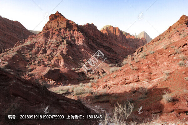 紅山