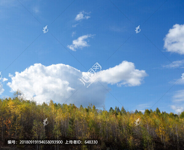 林區(qū)秋色