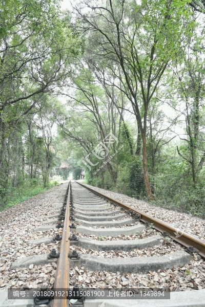 鐵路軌道