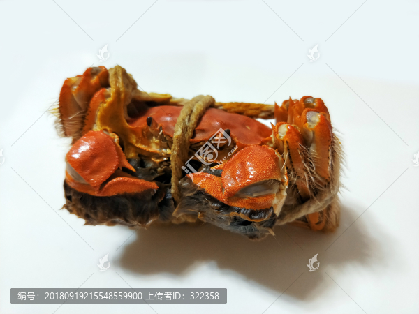 清蒸大閘蟹