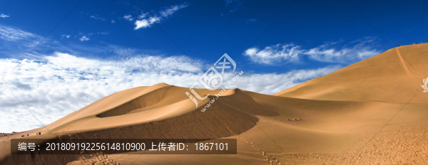 沙漠
