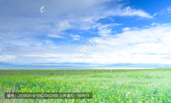 青海湖