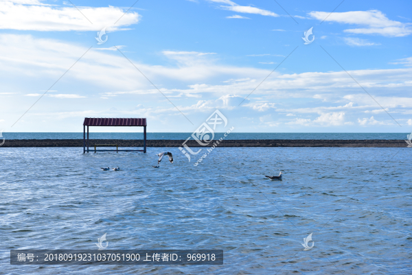 青海湖