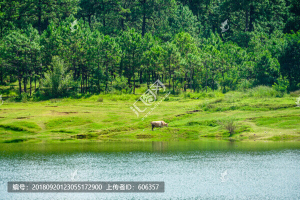 河岸