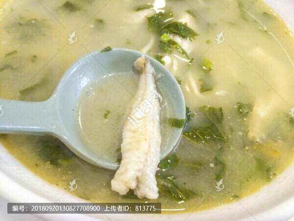 特寫黃魚面