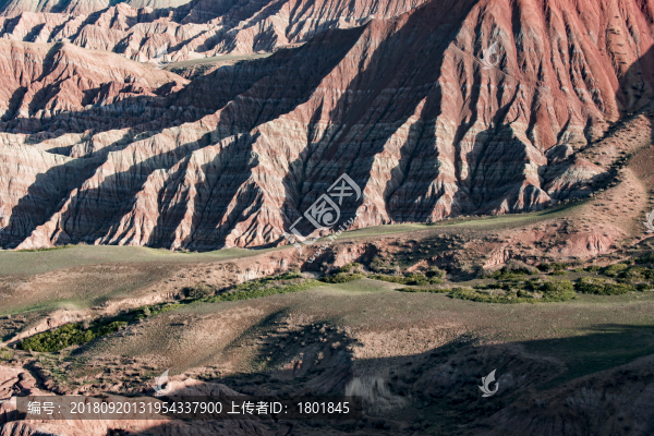 沉積地層