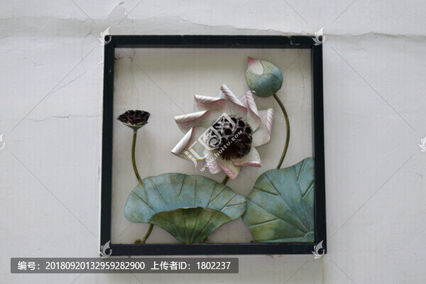 白墻荷花荷葉