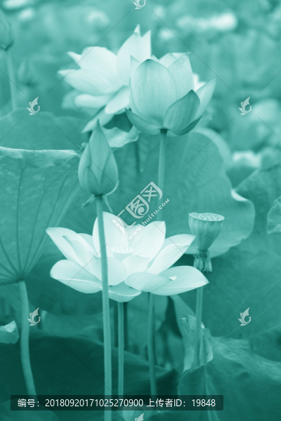 玄關(guān)水墨畫