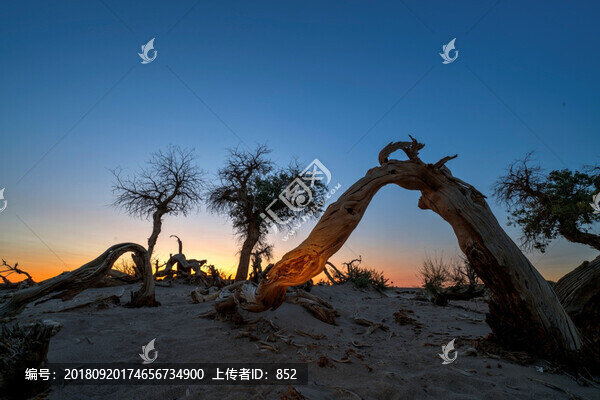 戈壁沙漠