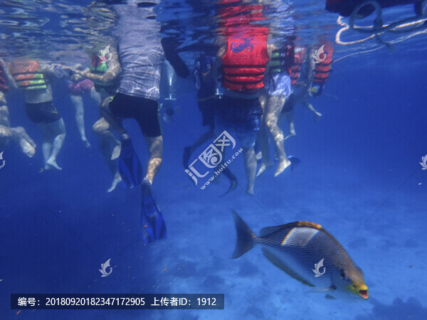 海底世界
