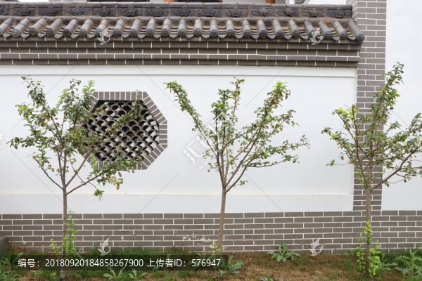 白墻