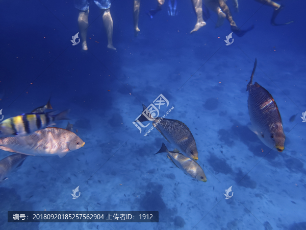 海底世界