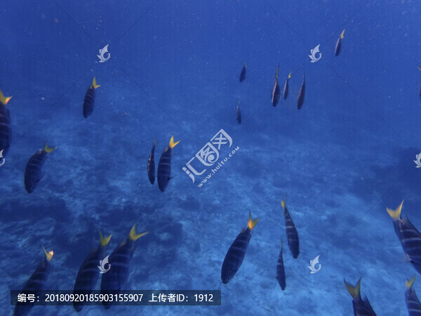 海底世界