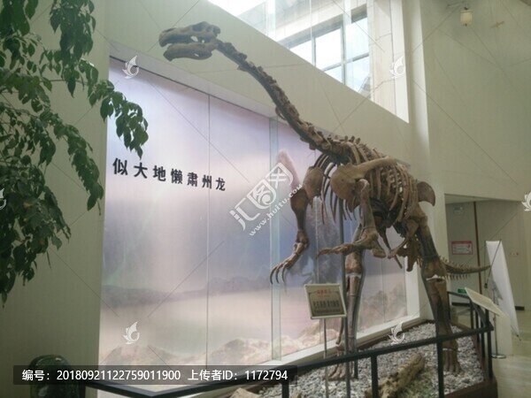 恐龍骨架化石