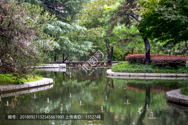小區(qū)綠化水池景觀