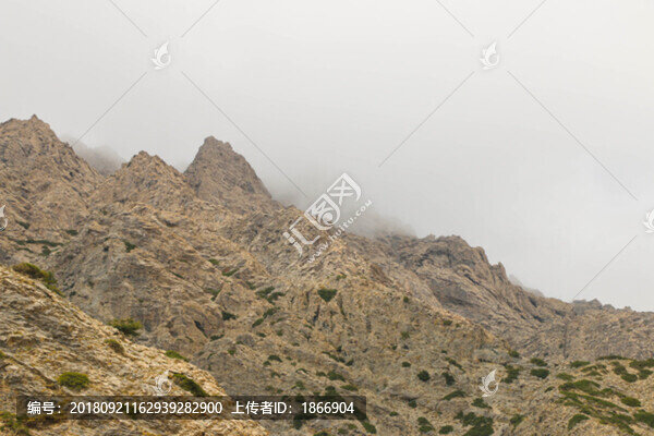 山雕