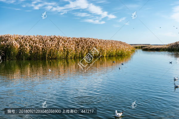 內(nèi)蒙古額濟納旗居延海