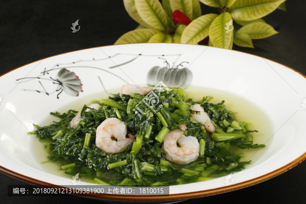泉水野菜
