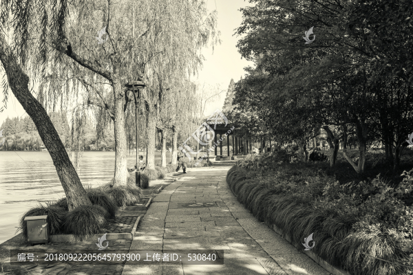 老巷子石板路