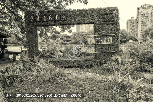 綠植拱門黑白照片