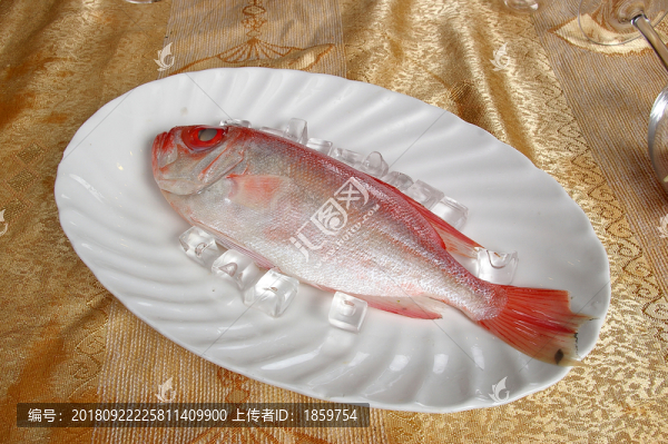 紅目瞳