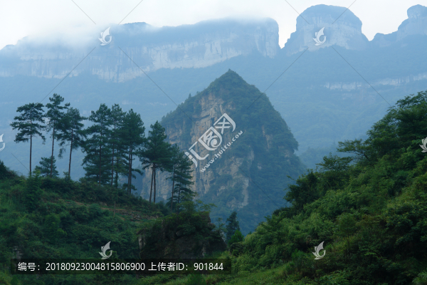 金佛山的清晨
