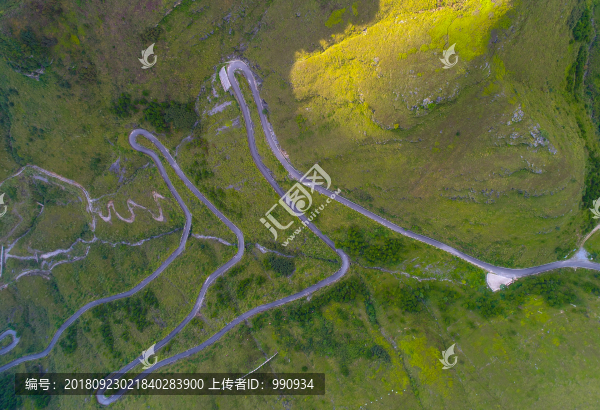彎曲的公路