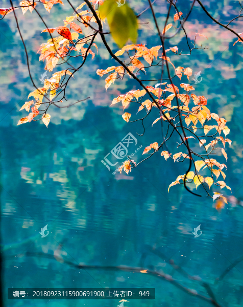色彩九寨