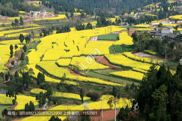 山鄉(xiāng)春色