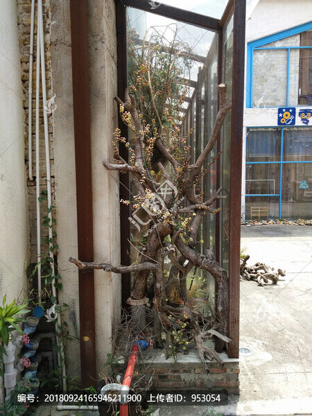 外觀建筑設(shè)計(jì)