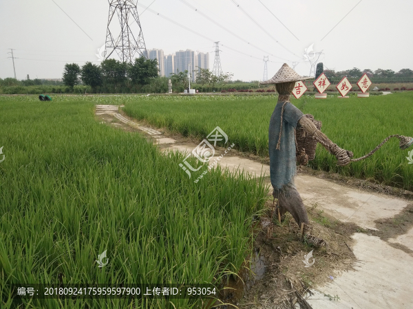稻草人
