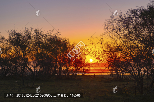 新疆昭蘇濕地