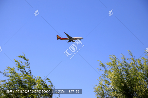 飛機(jī)掠過(guò)樹(shù)梢