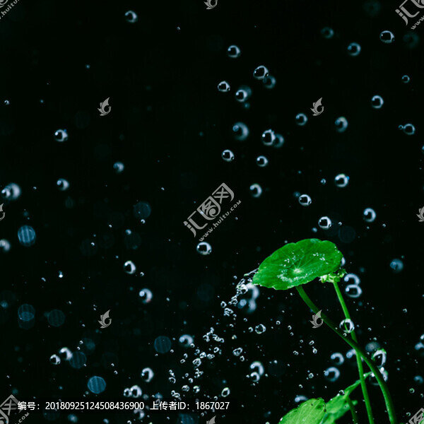 水之舞