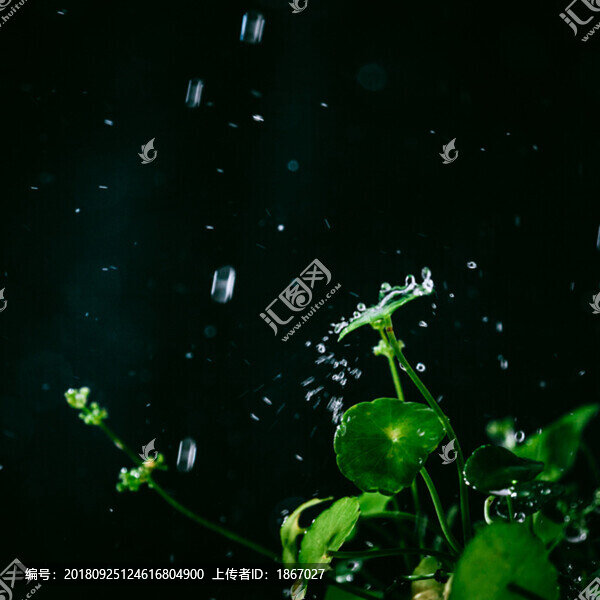 水之舞-匯圖網(wǎng) www.fosd68.com 水之舞