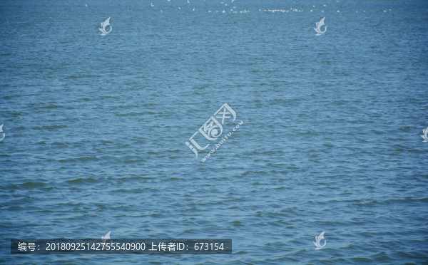 海面