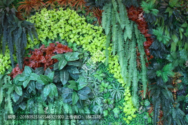 綠植墻
