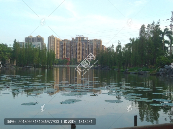 城市綠化