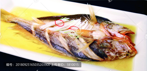 黃魚