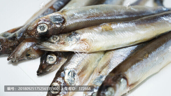 新鮮多春魚