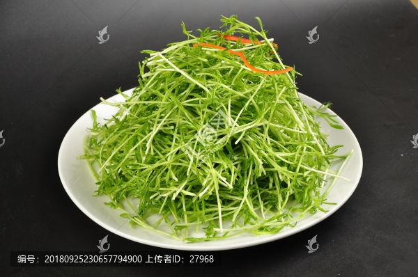爽口草尖