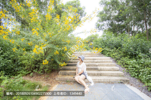 黃花樹(shù)下的女人