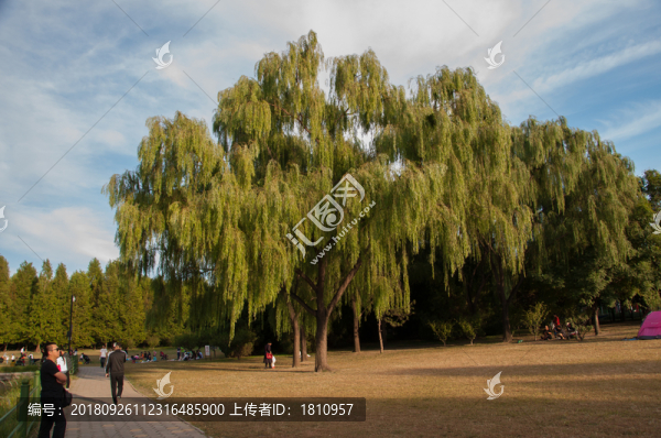 朝陽公園