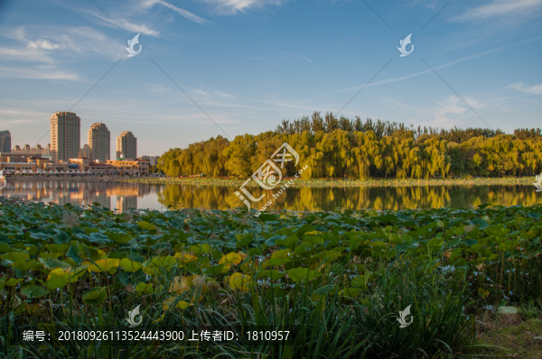 朝陽公園
