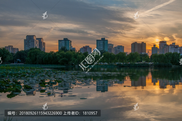 朝陽公園