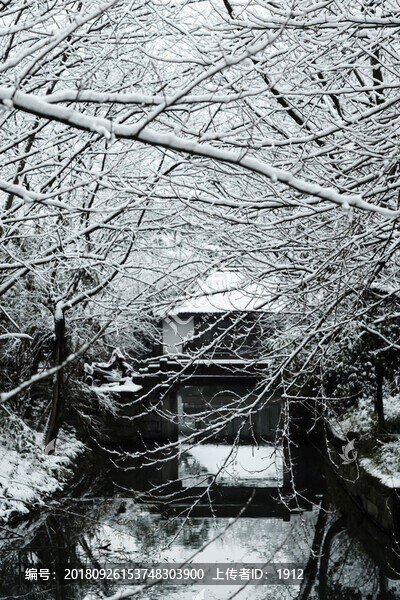 杭州雪景