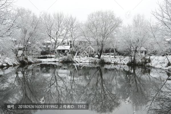 西溪雪景