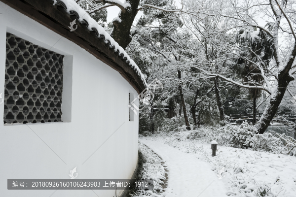 西溪雪景