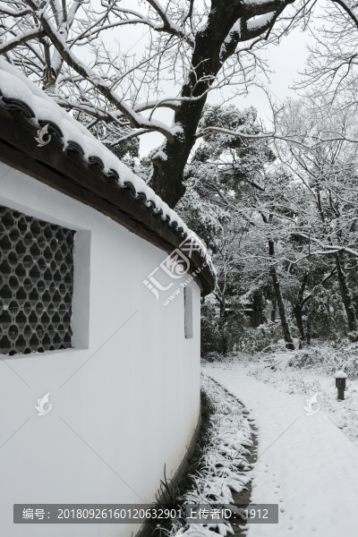 西溪雪景