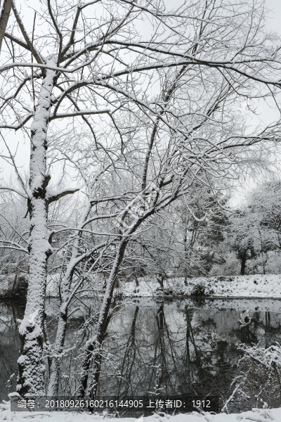 西溪雪景